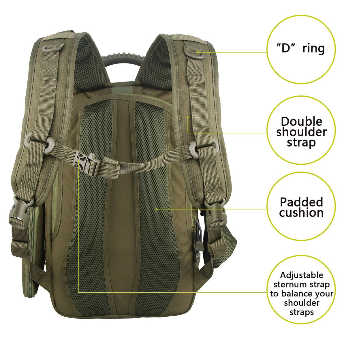 566137981