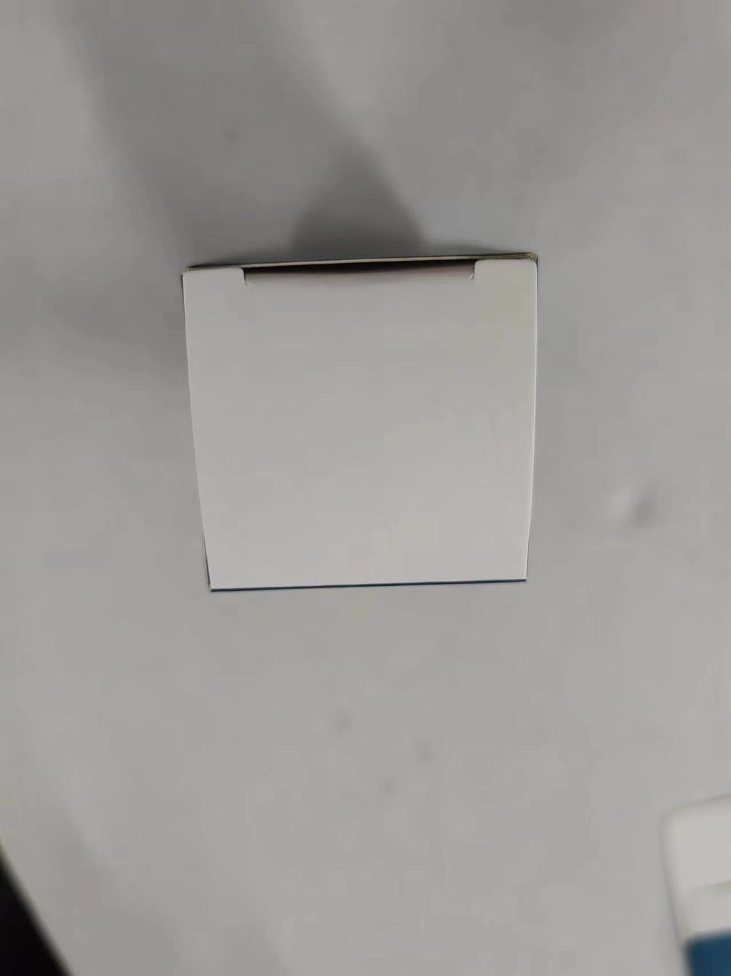 565744481