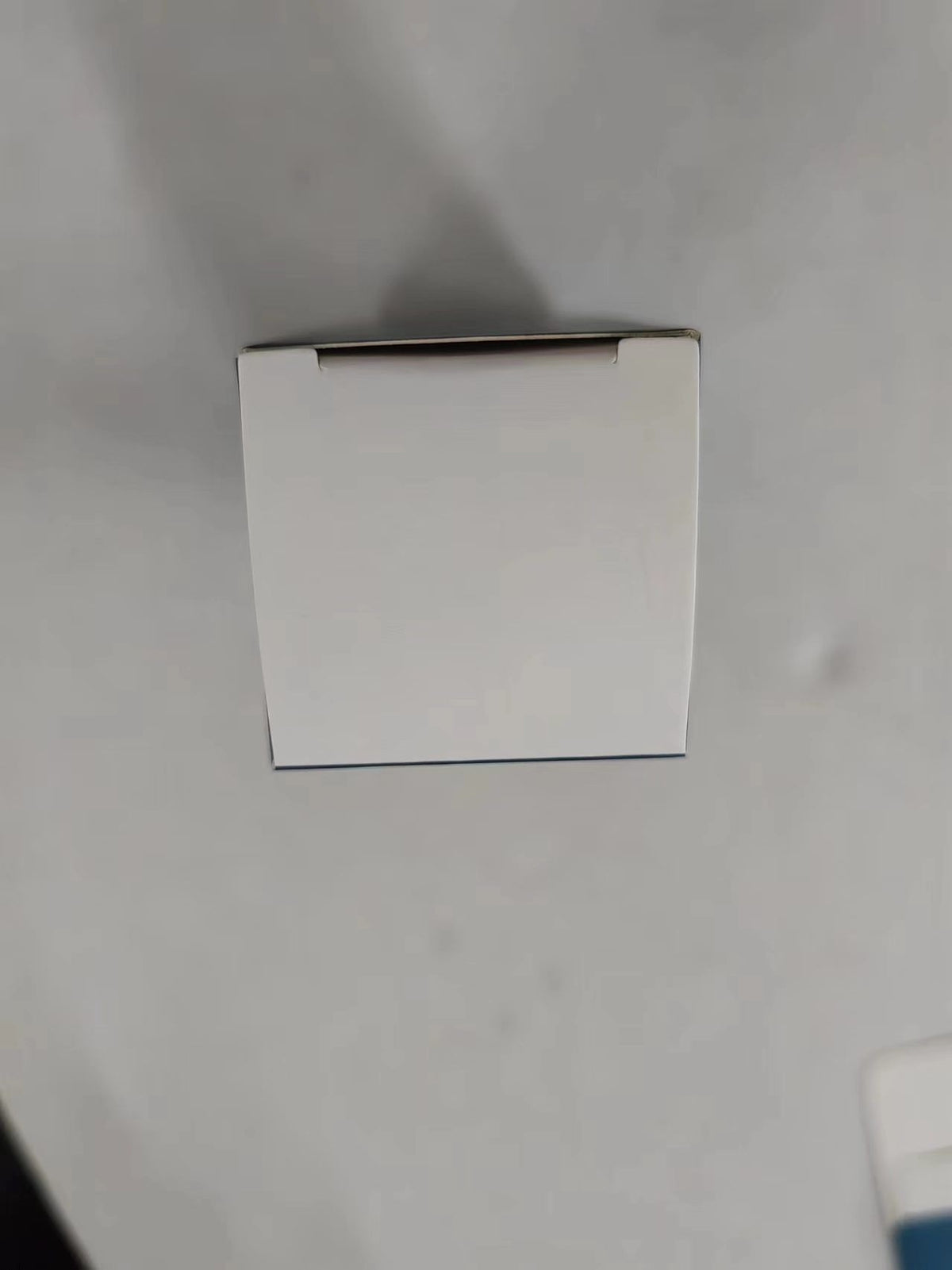 565744481